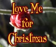 Love Me For Christmas